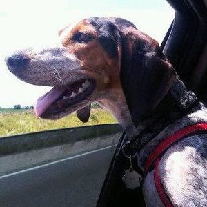 Meet your Posher, Vicky